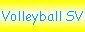 Volleyball SV